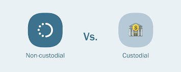 Custodial Vs Non Custodial Staking